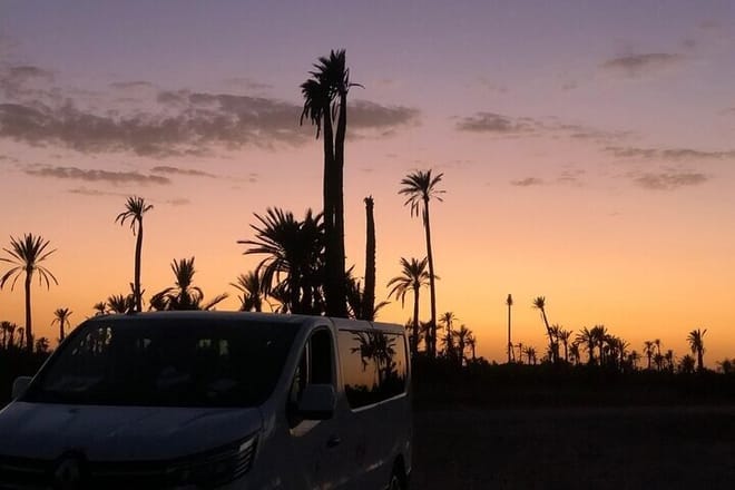 Camel Ride in the Marrakech Palm Grove 7
