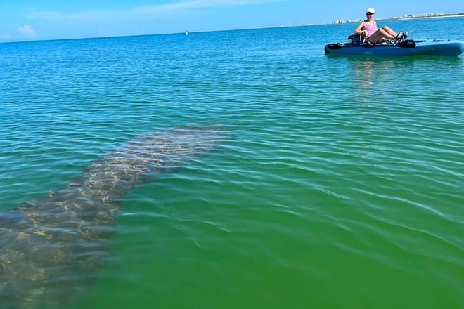 Elite Hobie Kayak Experience: Ultimate Premium Eco Adventure! photo 5