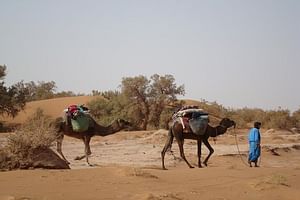 4 Days Trekking To The Heart Of Desert