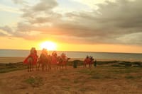Sunset Camel Ride and ATV Combo Adventure in Los Cabos 4