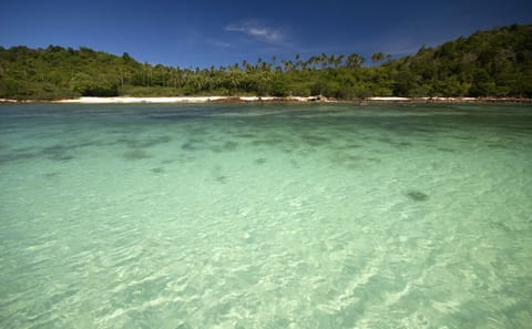 Snorkeling Adventure at Koh Talu Island near Hua Hin