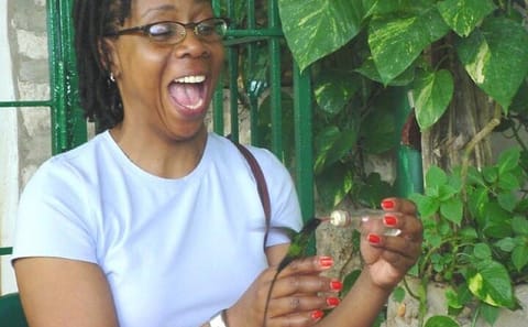 Birdwatching at Rocklands Sanctuary and Montego Bay Highlights