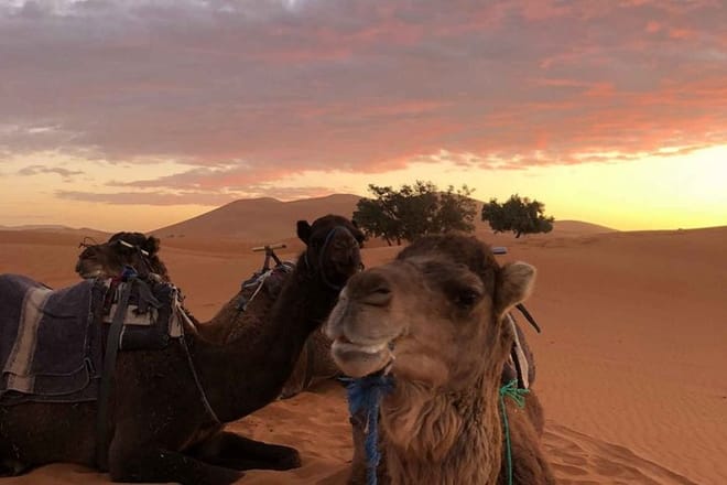 Combined Tour: Atlas Mountains Trek and Sahara Desert 5 days Tour 3