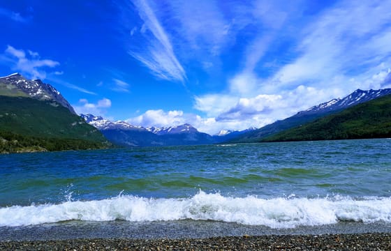 Tierra del Fuego National Park Private Half-Day Trip