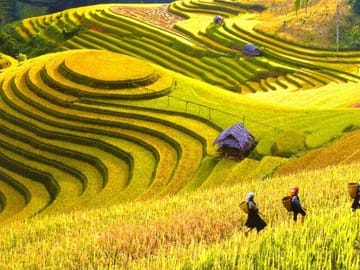 5-Day Private Tour of Ha Giang and Hoang Su Phi from Hanoi By CAR