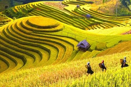 Private Tour of Ha Giang and Hoang Su Phi: Discover North Vietnam's Natural Beauty