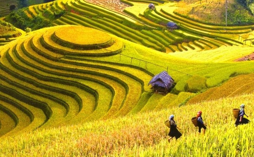 5-Day Private Adventure Tour of Ha Giang from Hanoi