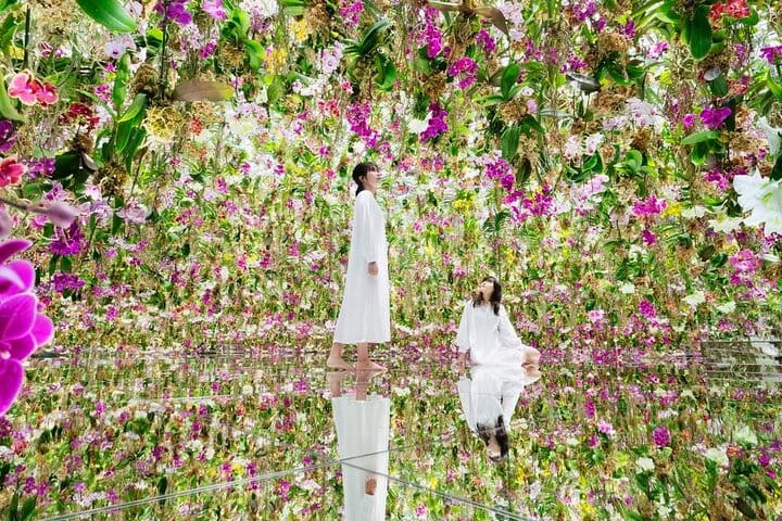 Входной билет в teamLab SuperNature Macao