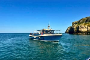 Ireland's Eye and Howth Coastal Boat Tour