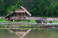 "Chiang Mai to Lake Adventure by Bike!" 6