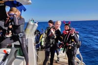Diving And Snorkeling To Ras Mohamed And White Island By VIP Boat 10