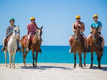 3 Hour Horse Swimming Adventure in Hurghada