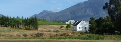 Stellenbosch winelands tour. Cape Town. Guided