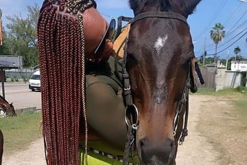 Horseback Riding, ATV and Ocean Zip lining combo from Montego Bay