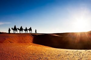 9 Days CAMEL TREK DESERT MOROCCO