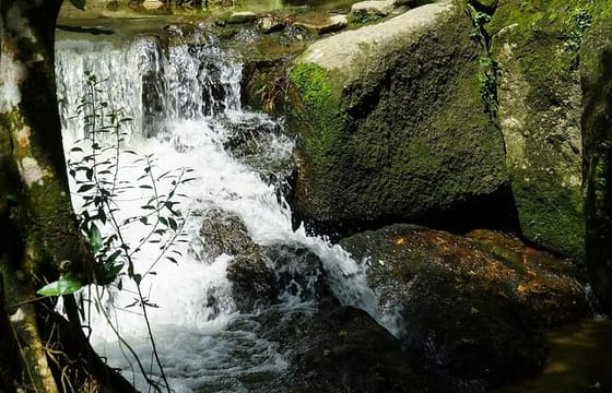 Exclusive Koh Samui: Private Driver & Car Experience