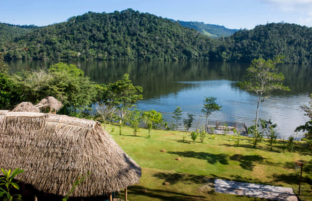 Jungle Paradise Tour: Carpishuyacu Waterfall & Thermal Baths in Tarapoto