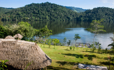 Jungle Paradise Tour: Carpishuyacu Waterfall & Thermal Baths in Tarapoto