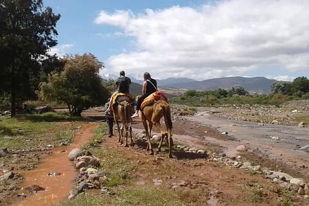 Guided Day Trip: Explore Three Valleys & Waterfalls from Marrakech