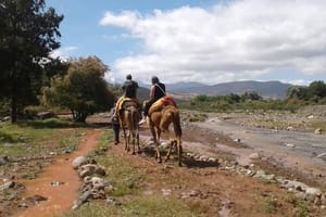 Three Valleys & Waterfalls: Guided Day Trip from Marrakech