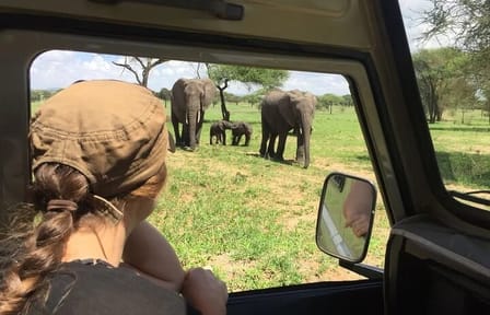 11 Days Kenya Safari Tour on 4×4 Landcruiser Jeep
