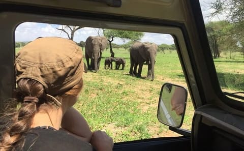 11-Day Wildlife Safari Adventure in Kenya's Laikipia County