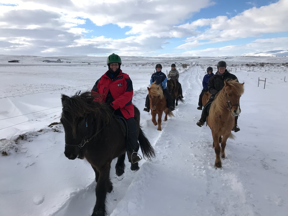 Winter seaside tour — Saltvík Holidayfarm
