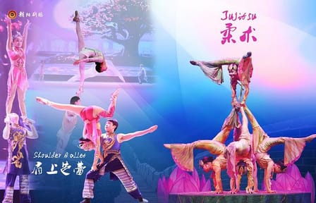 Chaoyang Theater Acrobatic Show with round-trip transfer