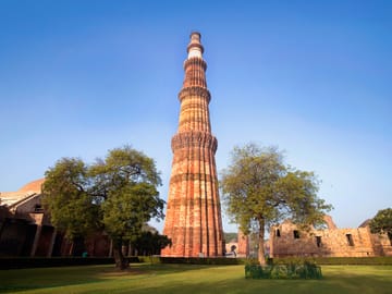 Wildlife Safari Tour in Central India: Explore Tigers and Nature