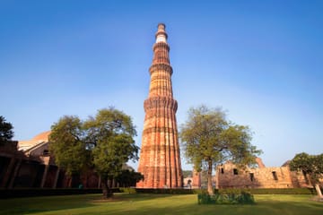 Wildlife Safari Tour in Central India: Explore Tigers and Nature