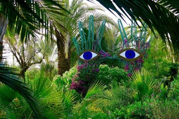 Ourika valley Waterfalls & Anima Garden Day Trip from Marrakech