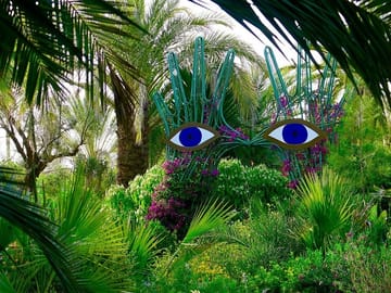 Blue eyes inside inside Anima garden.