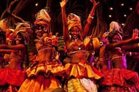 Nairobi Nightlife and Safari Park Hotel Dinner Experience 1