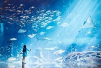 Atlantis day pass