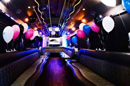 Party Bus & Dancer for 6 hours in Vilnius