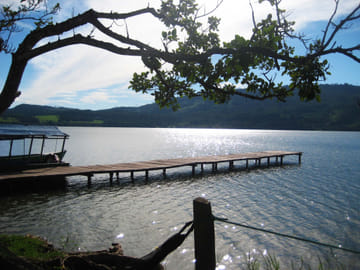 Scenic Boat Tour and Wildlife Viewing on Laguna Azul, Tarapoto