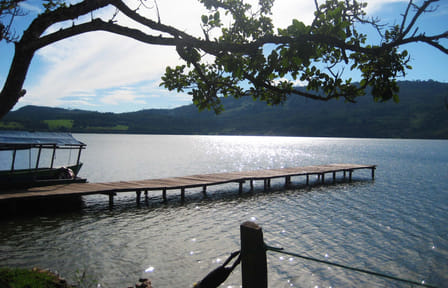 Scenic Boat Tour and Wildlife Viewing on Laguna Azul, Tarapoto