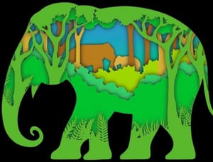 Living Green Elephant Sanctuary