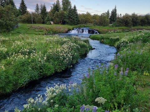 Nature of Reykjavik Private Bike Tour, photo 5