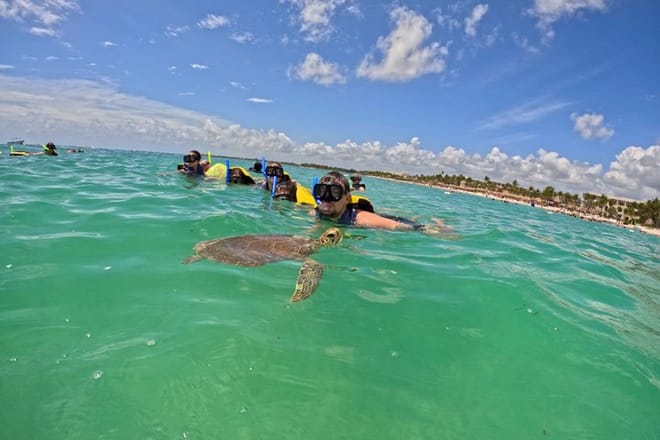 Santuario de tortugas Akumal Snorkel Experiencia marina