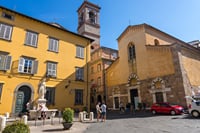 Private Full-Day Pisa and Lucca Guided Tour from Florence	 7