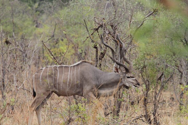 15 minutes scenic helicopter flight above Victoria Falls-Zimbabwe
