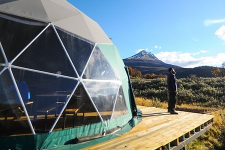 Tierra del Fuego National Park Small-Group Tour with Scenic Lunch