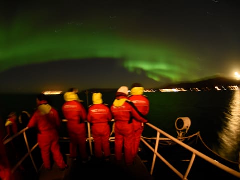 Reykjavík Northern Lights Cruise without pickup, photo 4