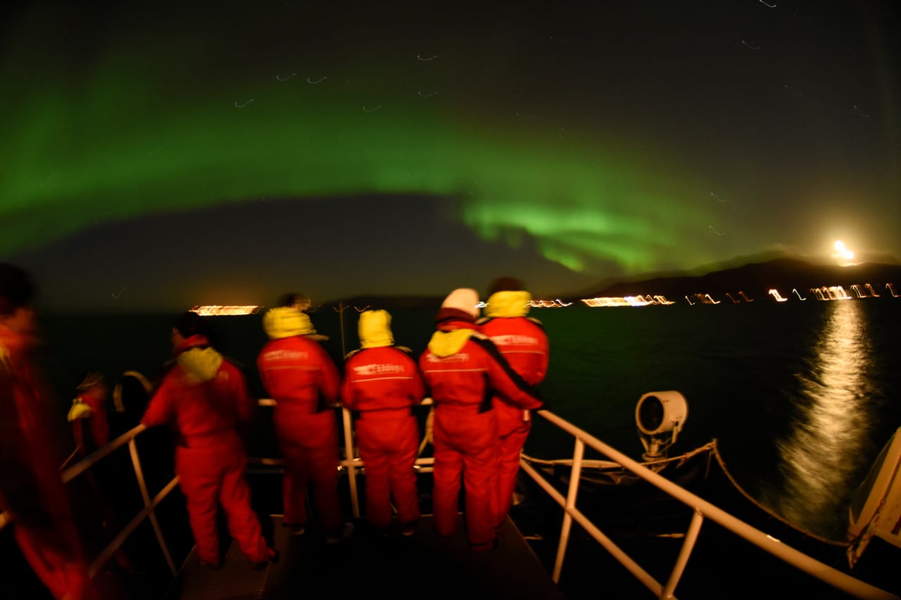 Reykjavík Northern Lights & City Cruise 10