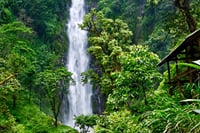 Materuni Waterfall Trekking Tour in Moshi, Tanzania.