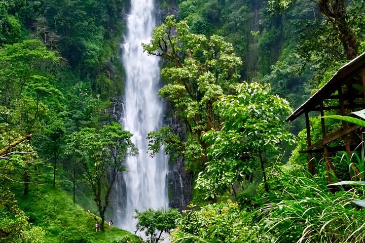 Materuni Waterfall Trekking Tour in Moshi, Tanzania.