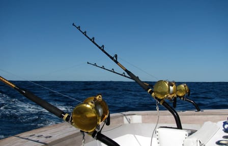 Big Game Fishing Expedition – Full Day at Sea