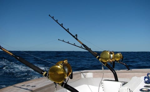 Full-Day Big Game Fishing Tour in Phuket, Thailand