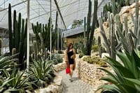 Cameron Highlands with Lunch Guided Day Tour (SIC/Shared Tour) 3